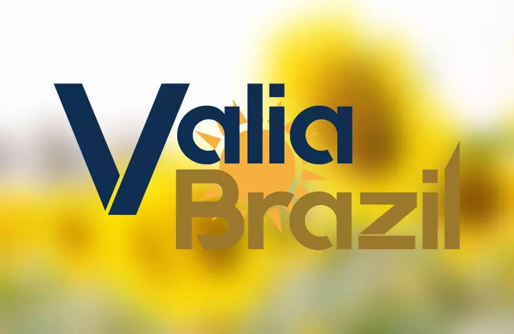 (c) Valiabrazil.com